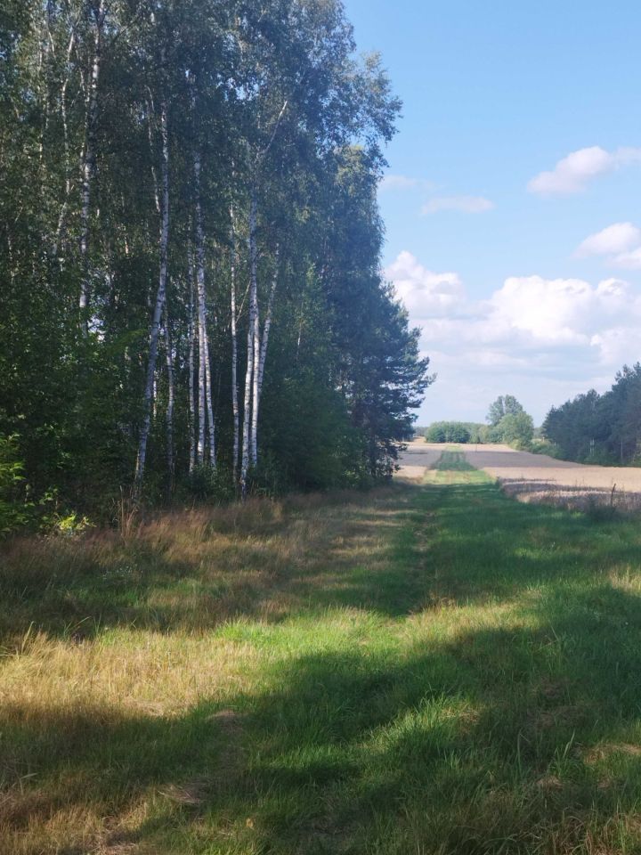 Działka budowlana Nowa Dębowa Wola. Zdjęcie 5