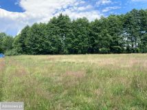 Działka rolna Ksawerów Nowy. Zdjęcie 3