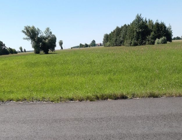Działka rolno-budowlana Stara Dąbia. Zdjęcie 1