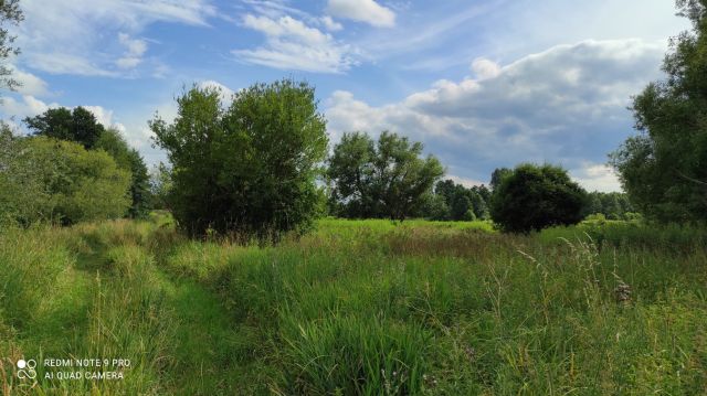 Działka budowlana Duchnów. Zdjęcie 1