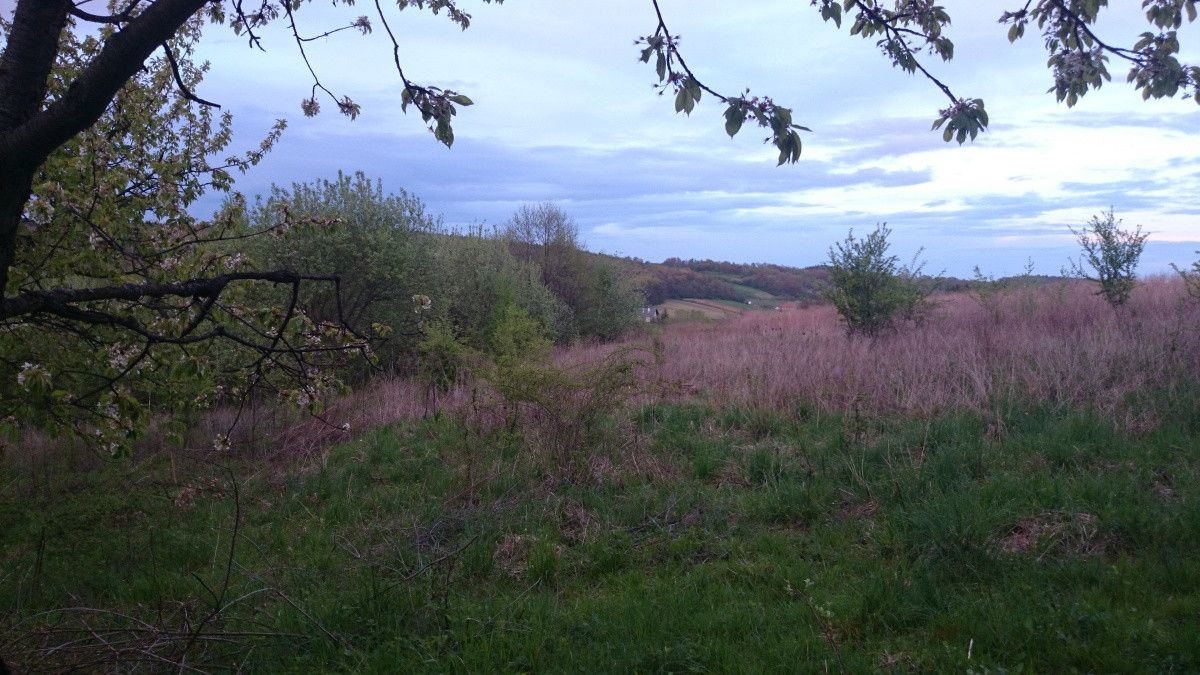 Działka siedliskowa Maszków, ul. Zamoście. Zdjęcie 8