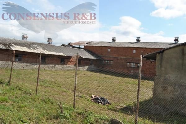 Hala/magazyn Prudnik. Zdjęcie 7