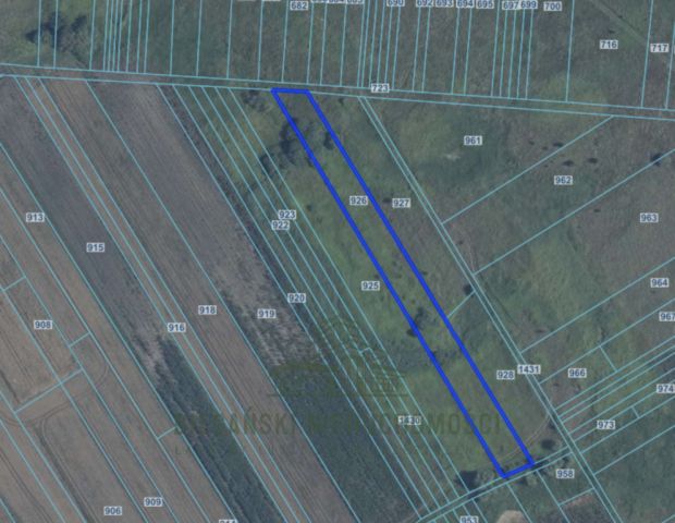 Działka rolna Łysołaje. Zdjęcie 5