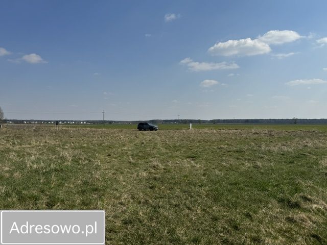 Działka budowlana Radzewo, ul. Żytnia. Zdjęcie 7