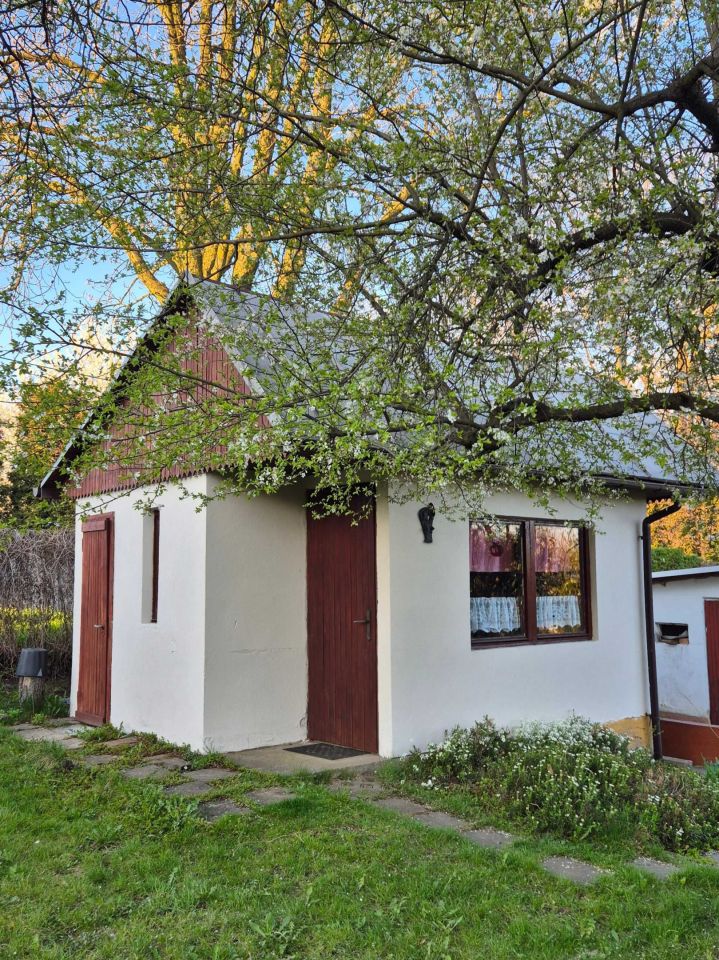 Działka rod Tarnowskie Góry. Zdjęcie 3