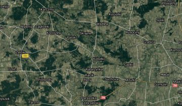Działka budowlana Drużbice-Kolonia