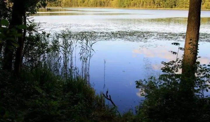 Działka budowlana Pszczew, Silna