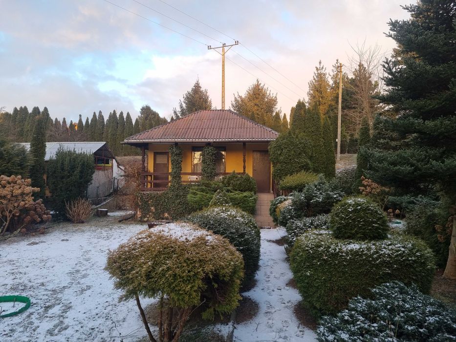 Działka rod Golub-Dobrzyń. Zdjęcie 3