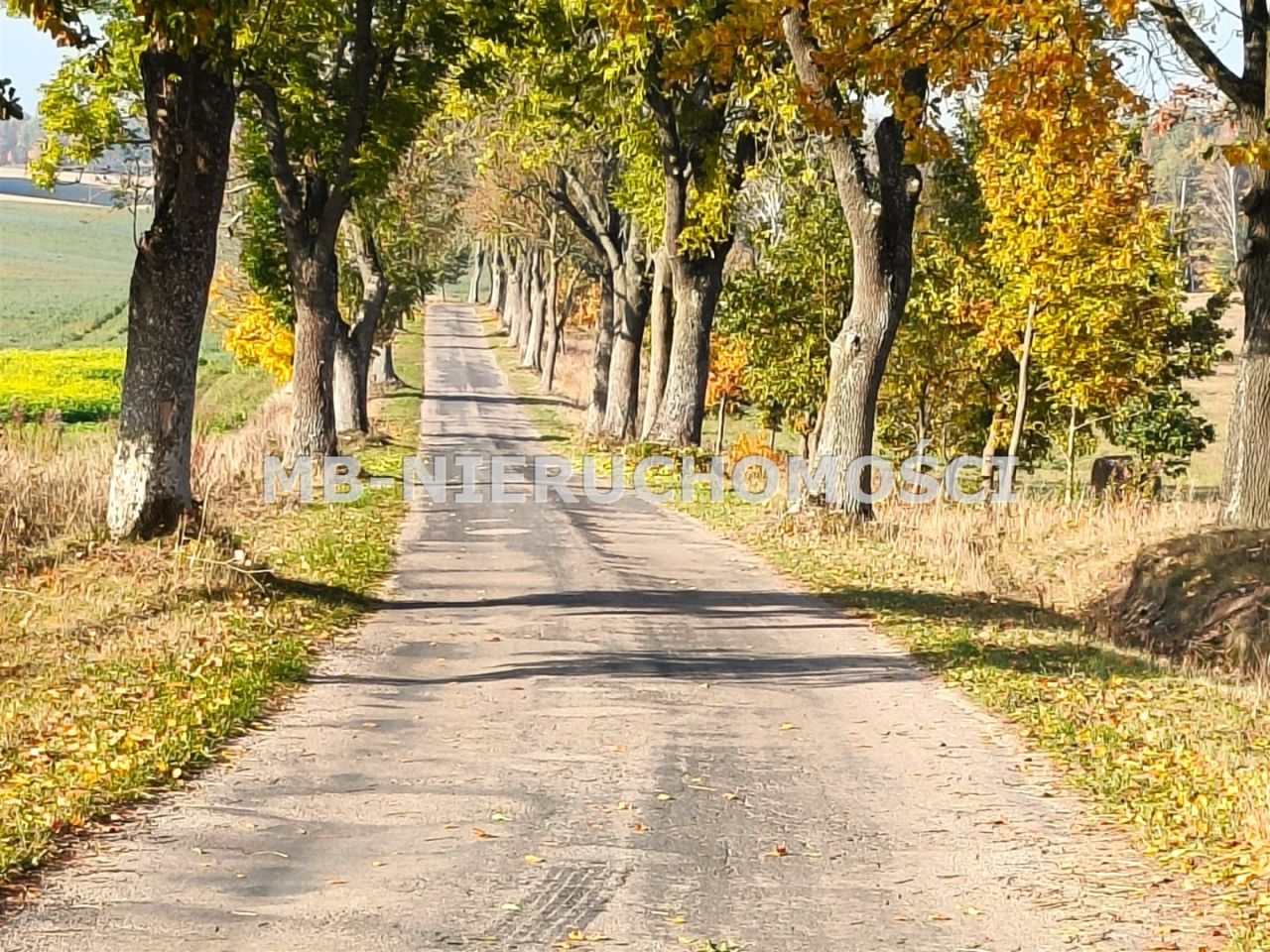 Działka budowlana Gąsiorowo Olsztyneckie. Zdjęcie 8