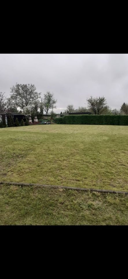 Działka rod Strzelce Opolskie. Zdjęcie 2