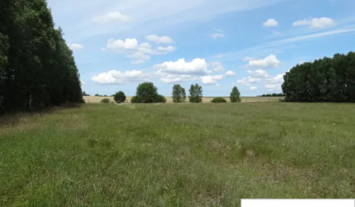 Działka rolna Kleszczyniec