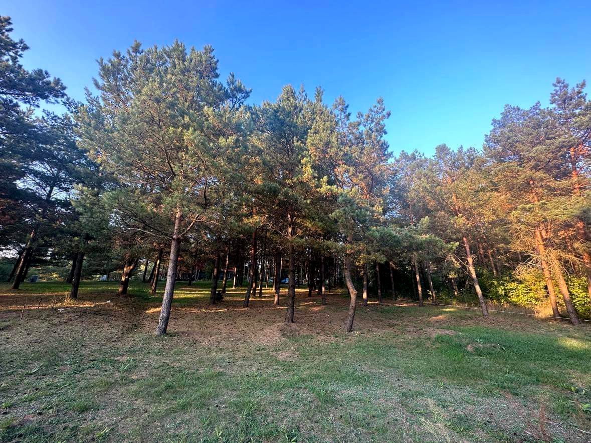 Działka budowlana Kuty. Zdjęcie 3