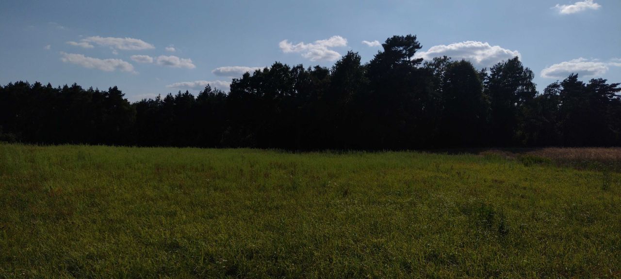 Działka rolno-budowlana Radzynek. Zdjęcie 5