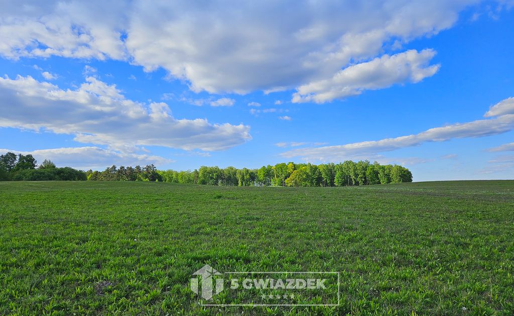 Działka budowlana Ostropole. Zdjęcie 3