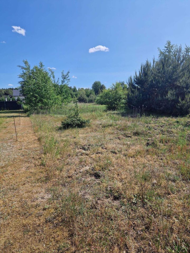 Działka budowlana Wojciechowice, ul. Lipowa. Zdjęcie 2