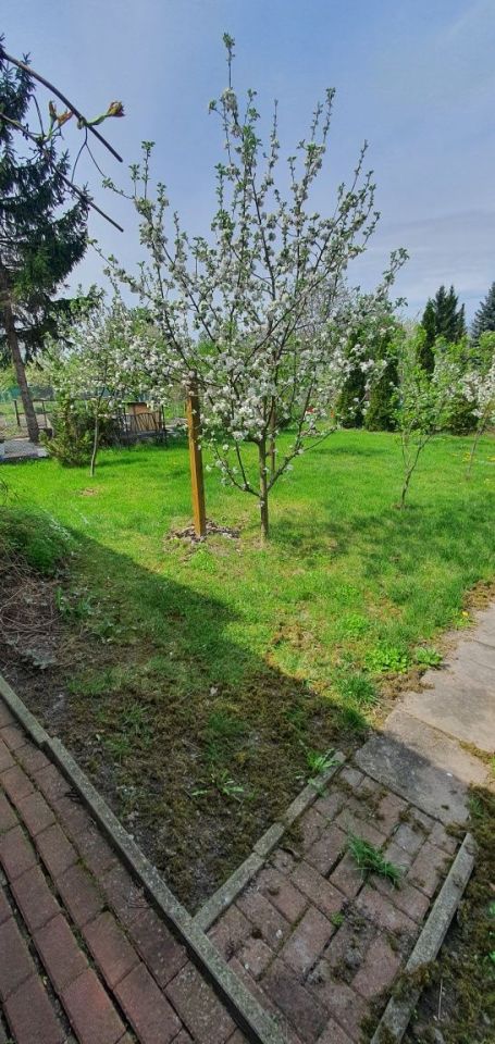 Działka rod Chełm, ul. Przemysłowa. Zdjęcie 7