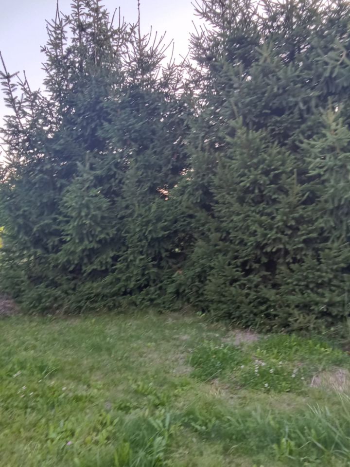 Działka rod Jawor. Zdjęcie 4