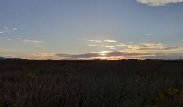 Działka budowlana Łomnica, ul. Klonowa