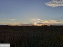 Działka budowlana Łomnica, ul. Klonowa. Zdjęcie 1