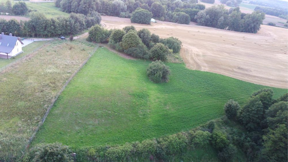 Działka rolno-budowlana Żałe. Zdjęcie 8