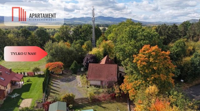 dom wolnostojący, 5 pokoi Świerzawa. Zdjęcie 4