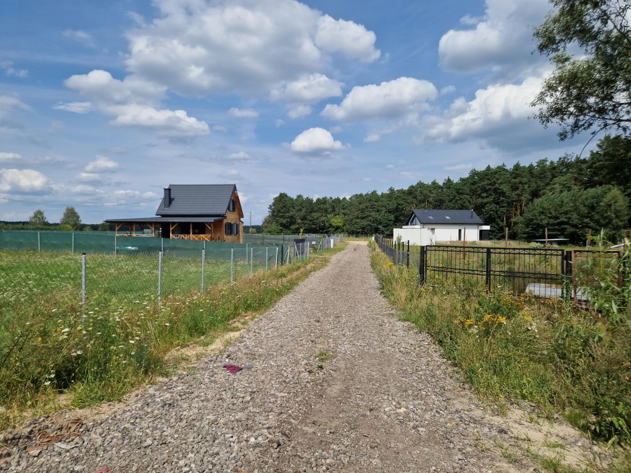 Działka rolna Krajęczyn. Zdjęcie 5