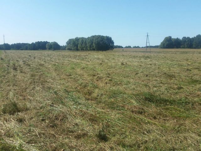 Działka inwestycyjna Chomino. Zdjęcie 1