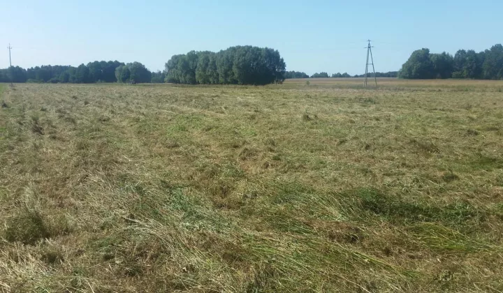 Działka inwestycyjna Chomino