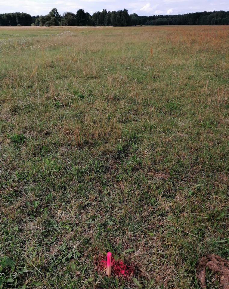 Działka rolno-budowlana Motyczno. Zdjęcie 5