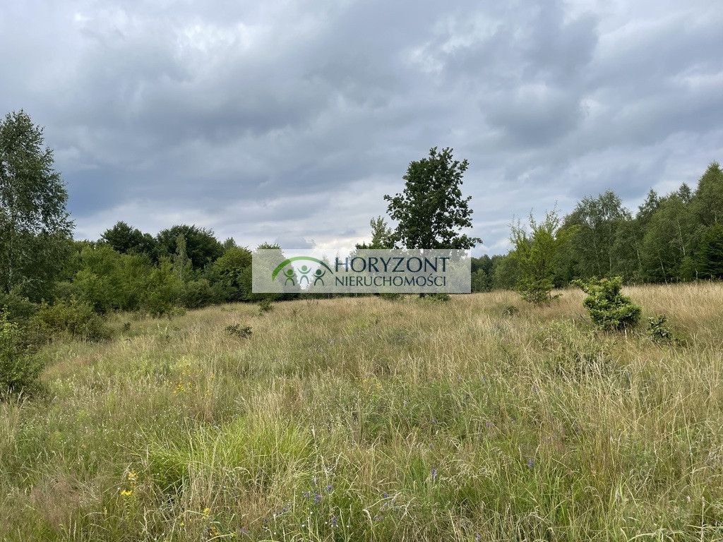 Działka Nowa Wieś Przywidzka. Zdjęcie 9