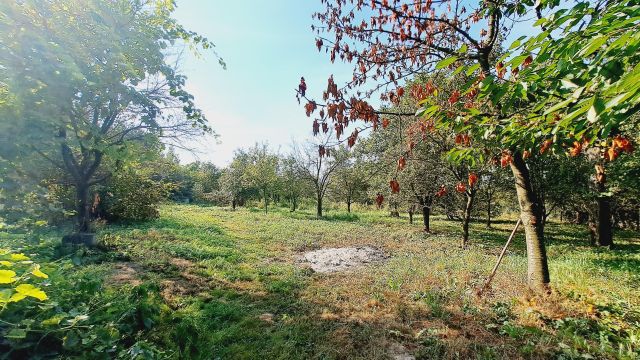 Działka budowlana Maszków, ul. Kolonia. Zdjęcie 3