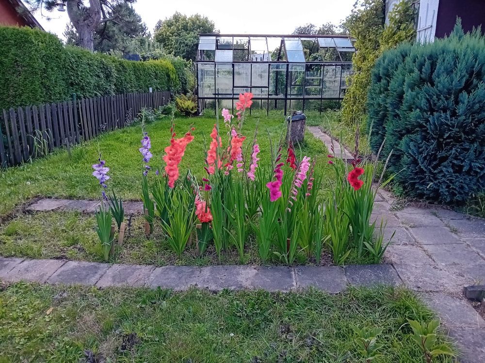 Działka rod Tychy. Zdjęcie 8