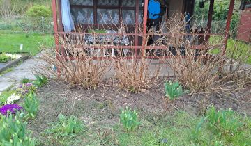 Działka rod Kraków Nowa Huta