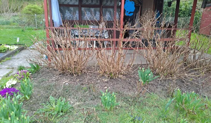 Działka rod Kraków Nowa Huta