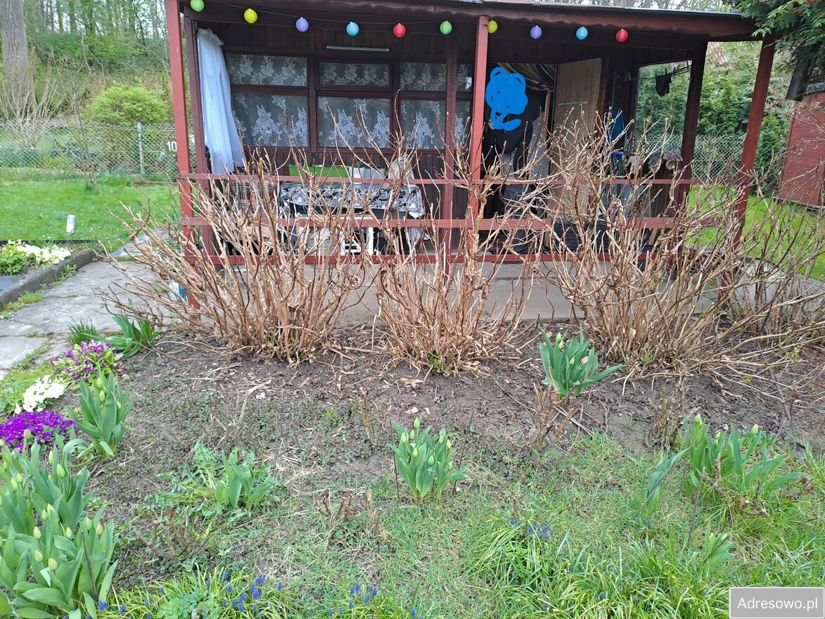 Działka rod Kraków Nowa Huta