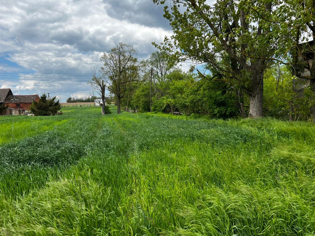 Działka budowlana Goszków. Zdjęcie 8