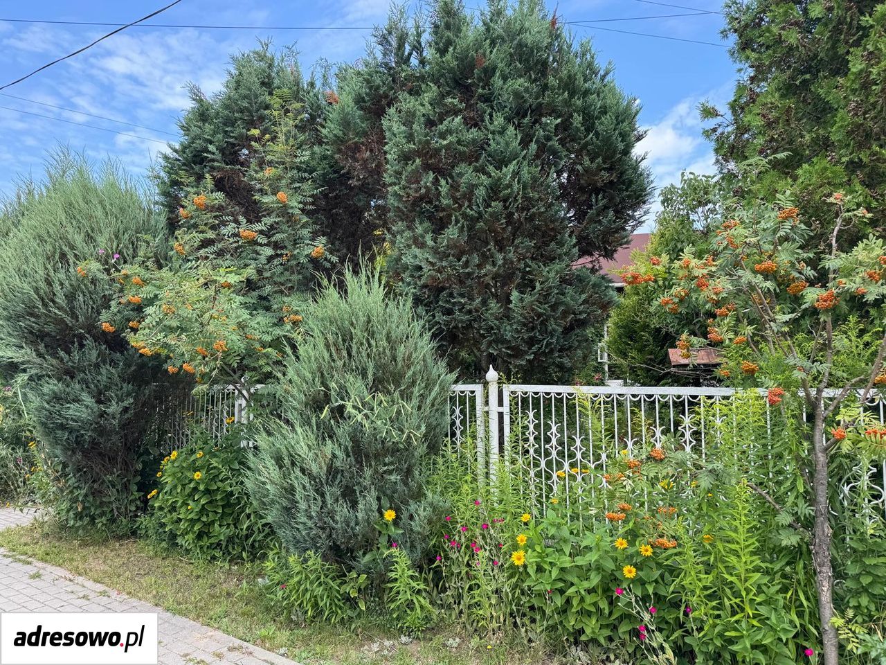 dom wolnostojący, 2 pokoje Myszków, ul. Szpitalna. Zdjęcie 15