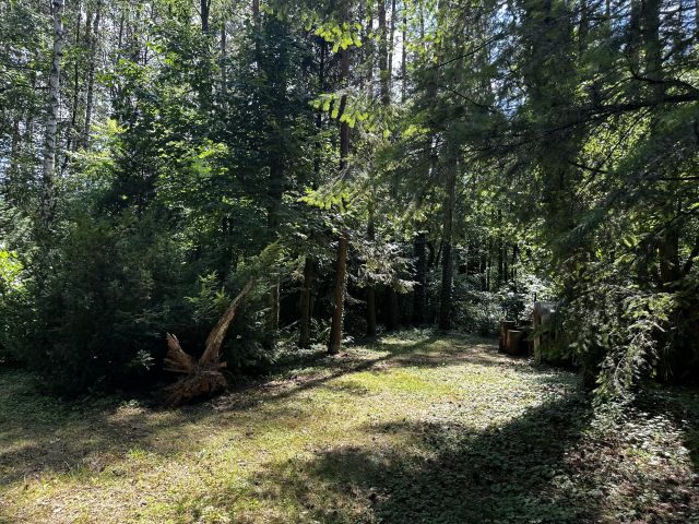 Działka rekreacyjna Zofiówka, ul. Cienista. Zdjęcie 5