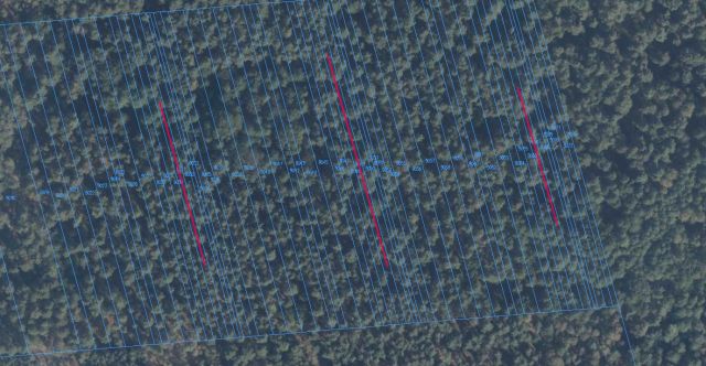 Działka leśna Niebrzegów. Zdjęcie 1