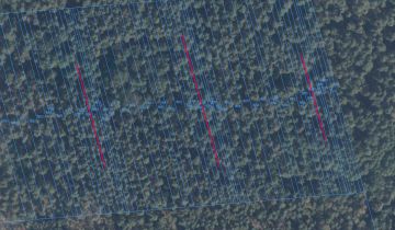 Działka leśna Niebrzegów