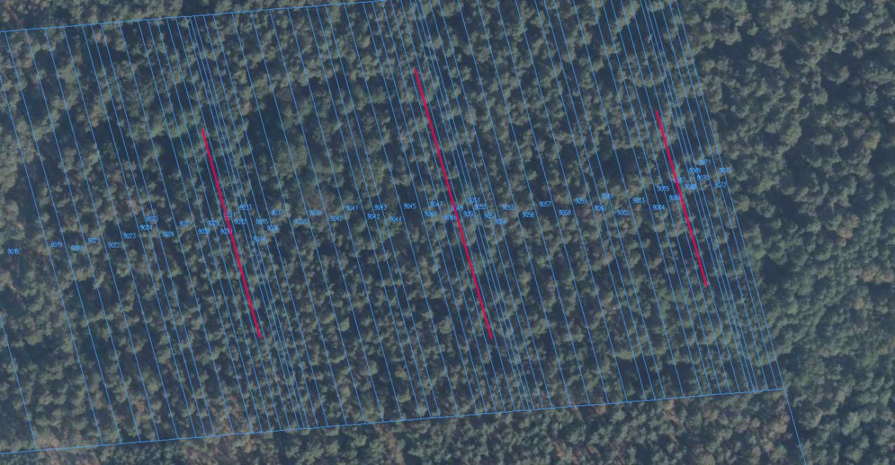 Działka leśna Niebrzegów