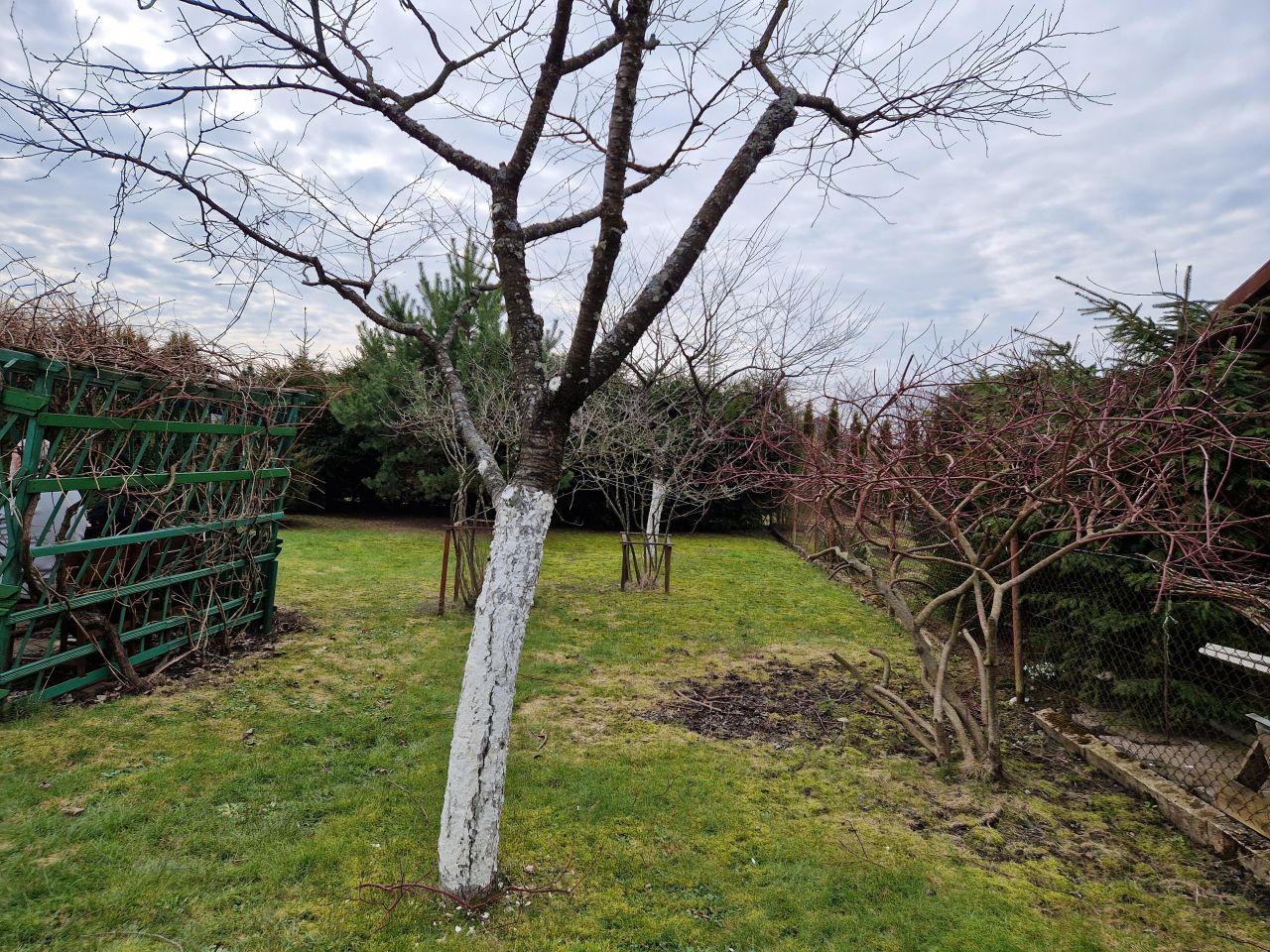 Działka rod Węgorzewo, ul. Braci Ejsmontów. Zdjęcie 7