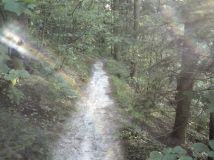 Działka rekreacyjna Górecko Kościelne. Zdjęcie 1