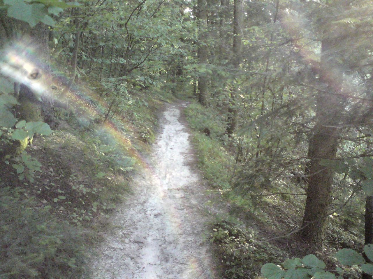 Działka rekreacyjna Górecko Kościelne. Zdjęcie 2