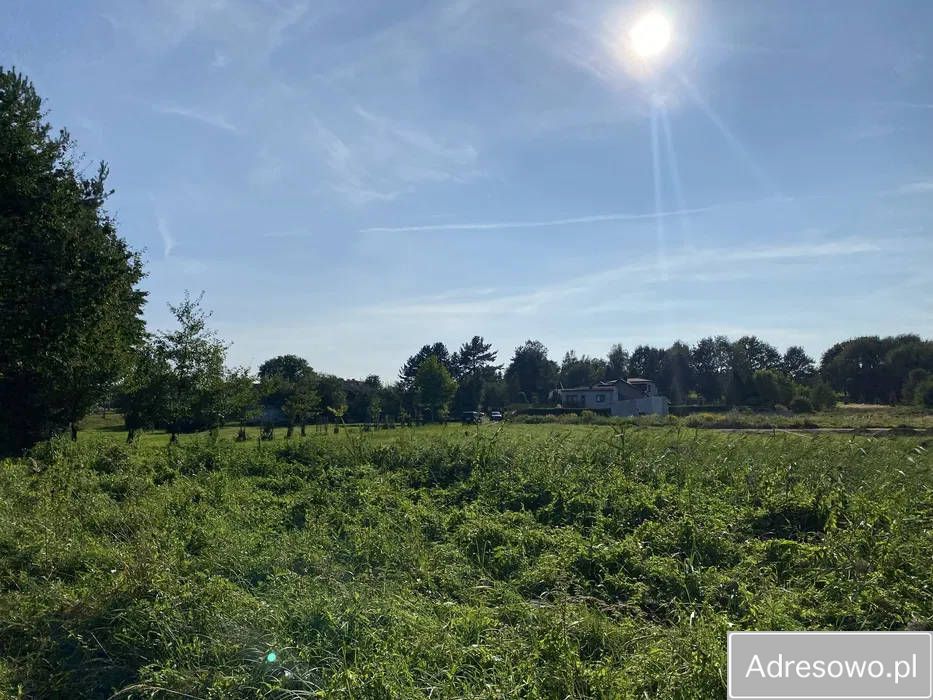 Działka budowlana Żory Rogoźna, ul. Łąkowa. Zdjęcie 3