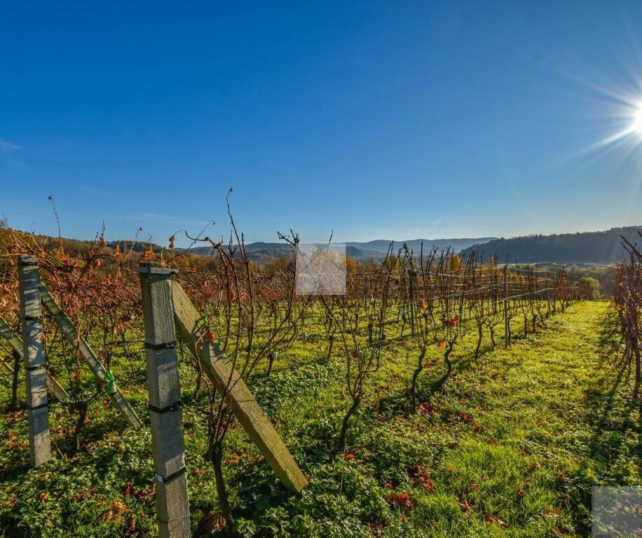 dom wolnostojący, 3 pokoje Dobra. Zdjęcie 11