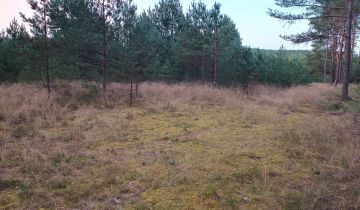 Działka budowlana Zbrzyca, Zbrzyca