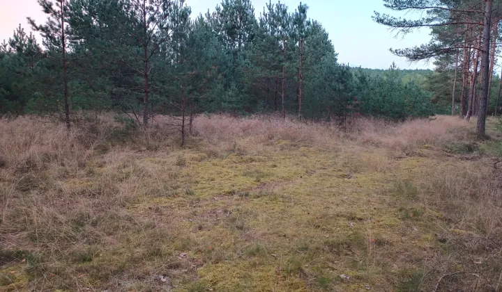 Działka budowlana Zbrzyca