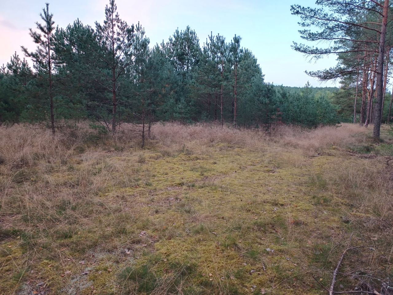 Działka budowlana Zbrzyca