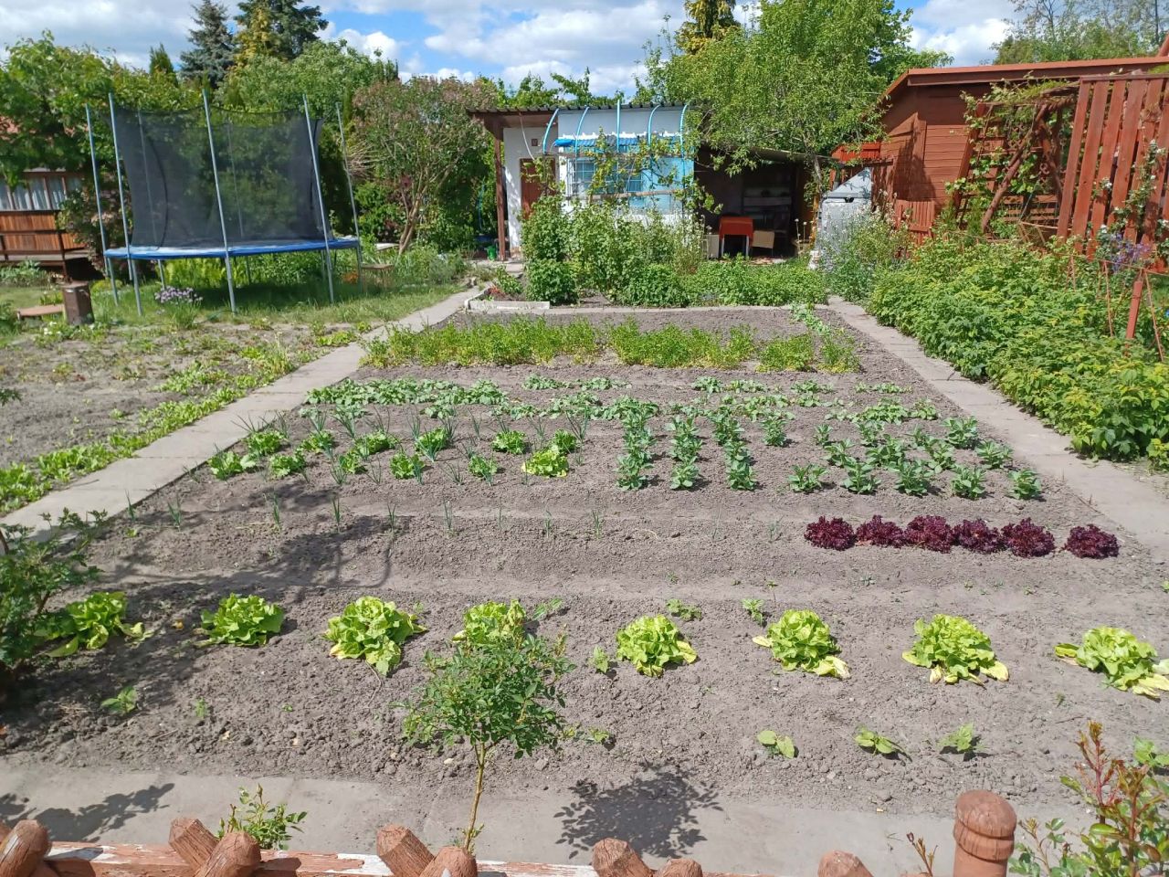 Działka rod Tarnobrzeg Bugaj, ul. św. Barbary. Zdjęcie 7